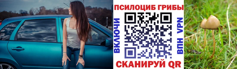 Псилоцибиновые грибы мицелий  hydra онион  Галич  даркнет сайт 