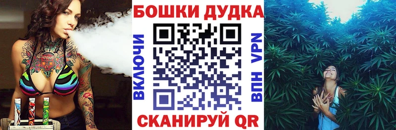 Бошки Шишки планчик  купить наркотик  Галич 